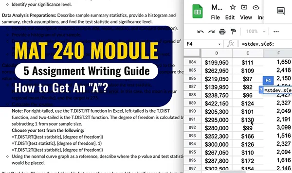 Assignment Writing Guide