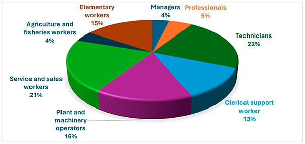 pie chart